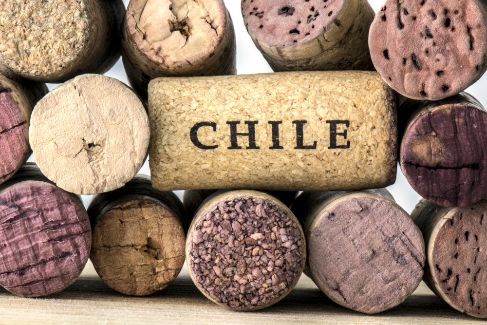 chile wine cork
