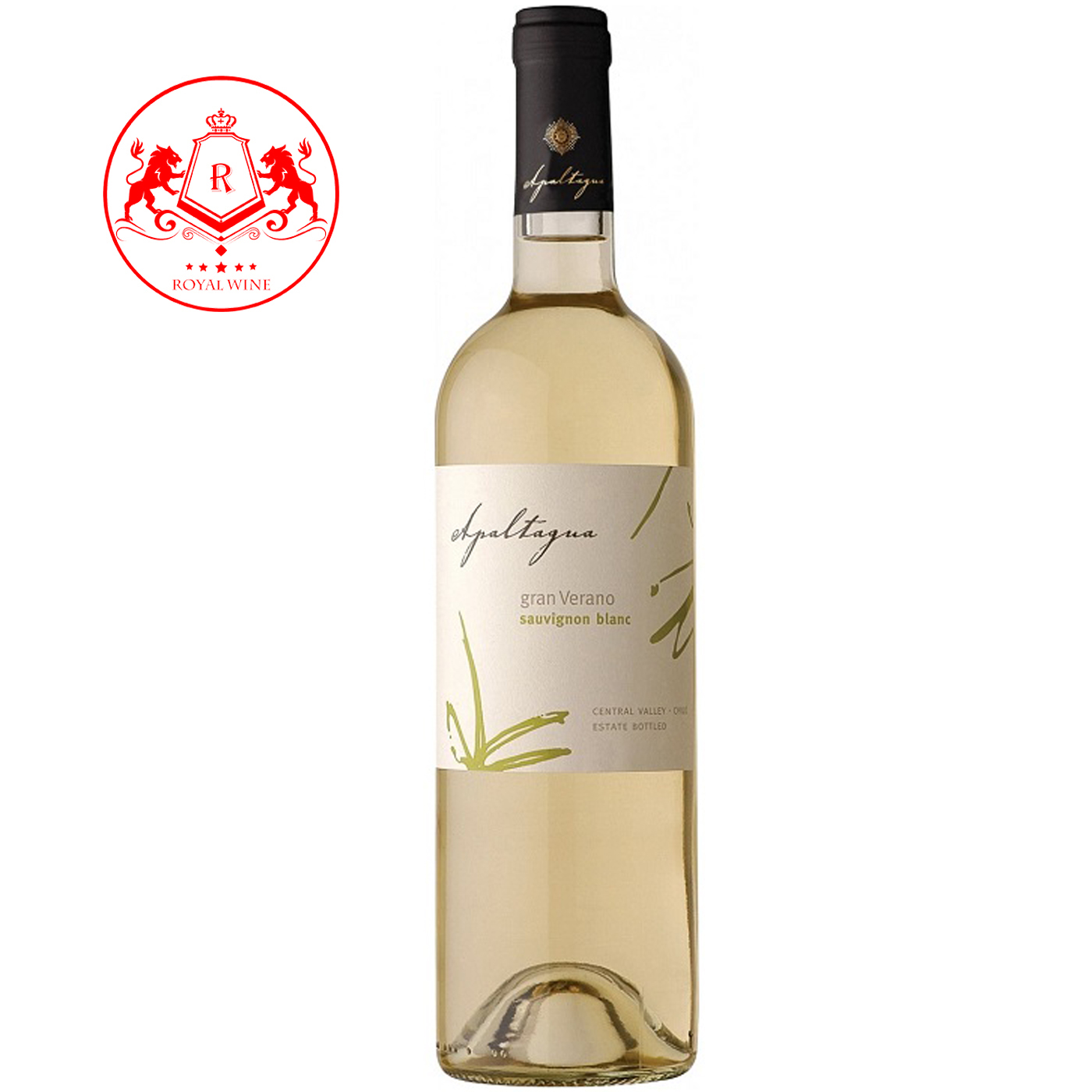 Rượu vang APALTAGUA Gran Verano Sauvignon Blanc
